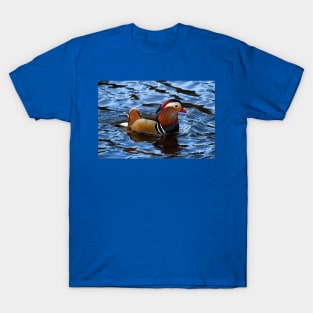 Mandarin duck T-Shirt